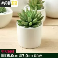 三维工匠多肉花盆白色陶瓷盆长方形肉肉植物简约白瓷多肉盆小绿植花卉盆器 中号圆柱[6X7] 中等花盆容器