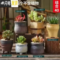 三维工匠多肉花盆粗陶透气复古陶瓷大口径创意盆景盆肉肉花盆 款式7[6个] 中等花盆容器