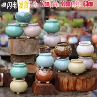 三维工匠陶瓷特小号多肉植物多色套装控型迷你多肉拇指肉肉花盆创意 桃蛋盆(随机6个) 中小花盆容器