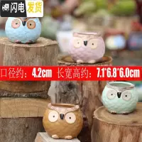 三维工匠陶瓷特小号多肉植物多色套装控型迷你多肉拇指肉肉花盆创意 猫头鹰1号(4个) 中小花盆容器