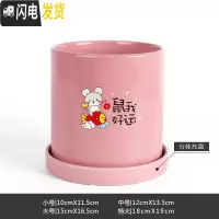 三维工匠鼠年本命年装饰创意中国红插银柳简约圆柱绿植多肉带托盘陶瓷花盆 鼠我好运-亮光粉 小花盆容器