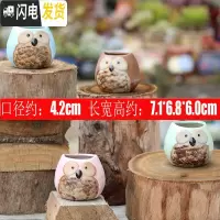 三维工匠陶瓷特小号多肉植物多色套装控型迷你多肉拇指肉肉花盆创意 猫头鹰2号(4个) 中小花盆容器