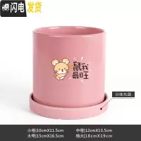 三维工匠鼠年本命年装饰创意中国红插银柳简约圆柱绿植多肉带托盘陶瓷花盆 鼠我最旺-亮光粉 小花盆容器