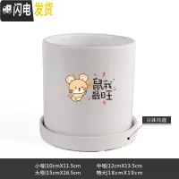 三维工匠鼠年本命年装饰创意中国红插银柳简约圆柱绿植多肉带托盘陶瓷花盆 鼠我最旺-亮光白 特大花盆容器