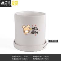 三维工匠鼠年本命年装饰创意中国红插银柳简约圆柱绿植多肉带托盘陶瓷花盆 鼠我最旺-亮光白 中等花盆容器