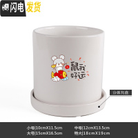 三维工匠鼠年本命年装饰创意中国红插银柳简约圆柱绿植多肉带托盘陶瓷花盆 鼠我好运-亮光白 小花盆容器