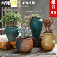 三维工匠多肉花盆陶瓷大号小老桩粗陶透气创意个性肉肉植物盆 款式5-组合95 大花盆容器