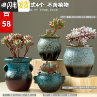 三维工匠多肉花盆陶瓷大号小老桩粗陶透气创意个性肉肉植物盆 款式15-组合58 大花盆容器
