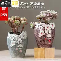 三维工匠多肉花盆陶瓷大号小老桩粗陶透气创意个性肉肉植物盆 款式10-组合259 大花盆容器