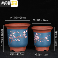 三维工匠紫砂兰花盆陶瓷君子兰花盆兰花专用盆陶瓷花盆 WX-021 图片上几个就是几个花盆容器