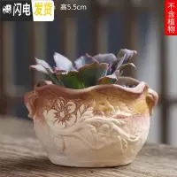 三维工匠可画画上色彩多肉小花盆陶瓷粗陶透气创意肉肉植物盆 荧光绿图片款[1个装] 中等花盆容器