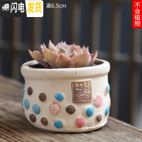 三维工匠可画画上色彩多肉小花盆陶瓷粗陶透气创意肉肉植物盆 深蓝色图片款[1个装] 中等花盆容器