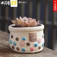 三维工匠可画画上色彩多肉小花盆陶瓷粗陶透气创意肉肉植物盆 深蓝色图片款[1个装] 中等花盆容器