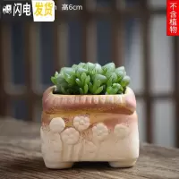 三维工匠可画画上色彩多肉小花盆陶瓷粗陶透气创意肉肉植物盆 湖蓝色图片款[1个装] 中等花盆容器