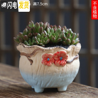 三维工匠可画画上色彩多肉小花盆陶瓷粗陶透气创意肉肉植物盆 咖啡色图片款[1个装] 中等花盆容器