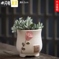 三维工匠可画画上色彩多肉小花盆陶瓷粗陶透气创意肉肉植物盆 金色图片款[1个装] 中等花盆容器