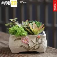 三维工匠可画画上色彩多肉小花盆陶瓷粗陶透气创意肉肉植物盆 白色图片款[1个装] 中等花盆容器