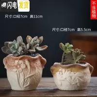 三维工匠可画画上色彩多肉小花盆陶瓷粗陶透气创意肉肉植物盆 桔色图片款[2个装] 中等花盆容器