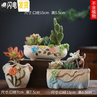 三维工匠可画画上色彩多肉小花盆陶瓷粗陶透气创意肉肉植物盆 玫红色图片款[3个装] 中等花盆容器