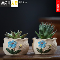 三维工匠可画画上色彩多肉小花盆陶瓷粗陶透气创意肉肉植物盆 驼色图片款[2个装] 中等花盆容器