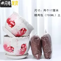 三维工匠花盆陶瓷带托盘一组两个大号盆带土简约家用绿萝多肉花盆 88023红两个大+土2包 大花盆容器