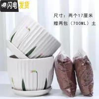 三维工匠花盆陶瓷带托盘一组两个大号盆带土简约家用绿萝多肉花盆 63002草花两个大+土2包 大花盆容器