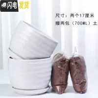 三维工匠花盆陶瓷带托盘一组两个大号盆带土简约家用绿萝多肉花盆 84015白两个大+土2包 大花盆容器