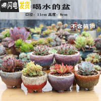 三维工匠麦饭石花盆粗陶透气老桩盆大口径拼盘吸水花盆手工复古冒汗盆 麦饭石碗-随机4个 大花盆容器