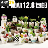 三维工匠多肉粗陶小号花盆陶瓷花盆肉肉塑料紫砂绿萝多肉植物花盆大号 轻质带底碟花盆随机2个 中等花盆容器