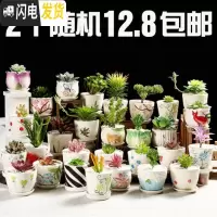 三维工匠多肉粗陶小号花盆陶瓷花盆肉肉塑料紫砂绿萝多肉植物花盆大号 轻质带底碟花盆随机2个 中等花盆容器