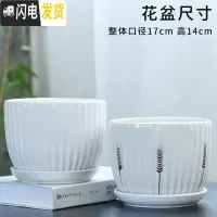 三维工匠花盆陶瓷大号特大简约家用绿萝吊兰多肉绿植白色花盆 大号两个组合-018 中等花盆容器
