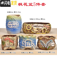 三维工匠北欧创意多肉小花盆装饰可爱植物盆栽套装置物架书柜桌面装饰摆件 问枫花盆5件套 小花盆容器