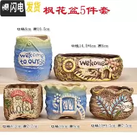 三维工匠北欧创意多肉小花盆装饰可爱植物盆栽套装置物架书柜桌面装饰摆件 问枫花盆5件套 小花盆容器