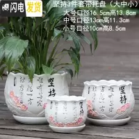 三维工匠花盆陶瓷带托盘简约大号家用特大号绿萝吊兰多肉绿植花盆 银色坚持3件套 中等花盆容器