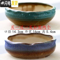 三维工匠大口径多肉花盆陶瓷透气肉肉绿植拼盘粗陶特大号 紫竹调组合 中等花盆容器