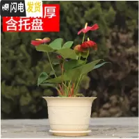 三维工匠波浪花边莲花盆塑料树脂仿陶型大花盆多肉绿萝花盆可水培送托盘 米色[开孔留言] 中号[口径19cm]10个花盆容器