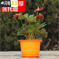 三维工匠波浪花边莲花盆塑料树脂仿陶型大花盆多肉绿萝花盆可水培送托盘 橙色[开孔留言] 3个特大+3个大号花盆容器