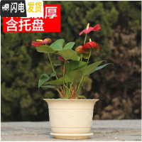 三维工匠波浪花边莲花盆塑料树脂仿陶型大花盆多肉绿萝花盆可水培送托盘 米色[开孔留言] 特大号[口径27cm]5个花盆容器