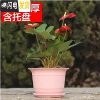 三维工匠波浪花边莲花盆塑料树脂仿陶型大花盆多肉绿萝花盆可水培送托盘 粉色[开孔留言] 3个特大+3个大号花盆容器