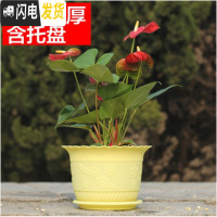 三维工匠波浪花边莲花盆塑料树脂仿陶型大花盆多肉绿萝花盆可水培送托盘 黄色[开孔留言] 小号[口径15cm]15个花盆容器