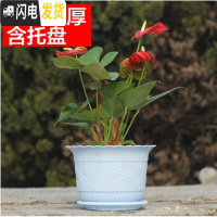 三维工匠波浪花边莲花盆塑料树脂仿陶型大花盆多肉绿萝花盆可水培送托盘 蓝色[开孔留言] 大号[口径23cm]7个花盆容器