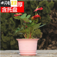 三维工匠波浪花边莲花盆塑料树脂仿陶型大花盆多肉绿萝花盆可水培送托盘 粉色[开孔留言] 大号[口径23cm]7个花盆容器