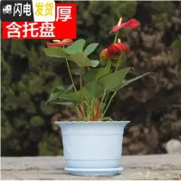 三维工匠波浪花边莲花盆塑料树脂仿陶型大花盆多肉绿萝花盆可水培送托盘 蓝色[开孔留言] 特大号[口径27cm]5个花盆容器