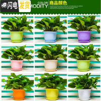 三维工匠波浪花边莲花盆塑料树脂仿陶型大花盆多肉绿萝花盆可水培送托 混色[开孔留言] 2个特大+2个大号+2个中号花盆容器