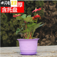 三维工匠波浪花边莲花盆塑料树脂仿陶型大花盆多肉绿萝花盆可水培送托 紫色[开孔留言] 2个特大+2个大号+2个中号花盆容器