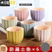 三维工匠多肉花盆陶瓷小号植物盆栽创意个性北欧简约粗陶透气 套装1215-图示六个 中等花盆容器
