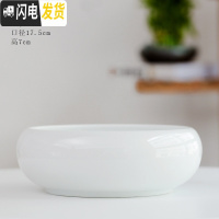 三维工匠陶瓷批发无孔水培容器铜钱碗莲睡莲多肉家用特大号 白瓷中号 大花盆容器