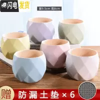 三维工匠多肉花盆陶瓷小号植物盆栽创意个性北欧简约粗陶透气 套装1208-图示六个 中等花盆容器