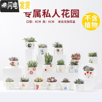 三维工匠多肉花盆陶瓷透气大口径家用创意粗陶肉肉植物小盆器 白瓷手绘随机(6个) 小花盆容器