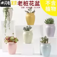 三维工匠多肉花盆陶瓷透气大口径家用创意粗陶肉肉植物小盆器 马卡龙老桩(6个) 小花盆容器